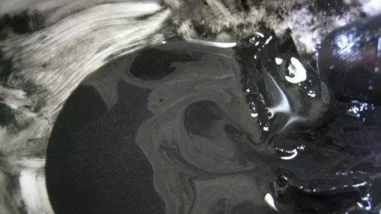 国画用墨技法！没一句废话